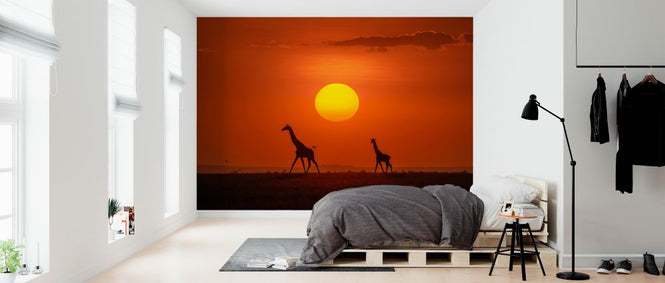 PHOTOWALL / Giraffes in the Sunset (e324124)