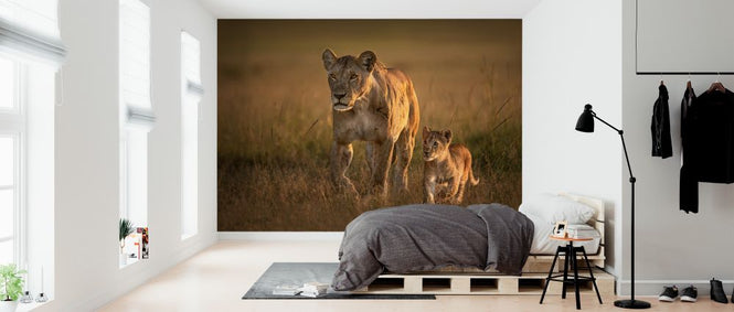 PHOTOWALL / Mom Lioness with Cub (e324433)