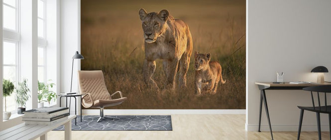 PHOTOWALL / Mom Lioness with Cub (e324433)