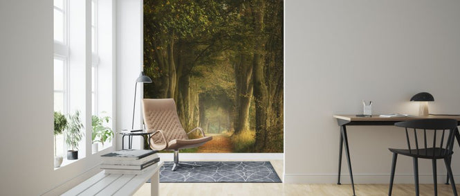 PHOTOWALL / Daydreamer (e324434)