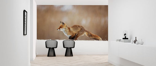 PHOTOWALL / Red Fox (e324446)
