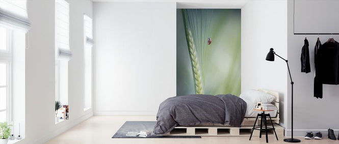 PHOTOWALL / Beetle (e324470)
