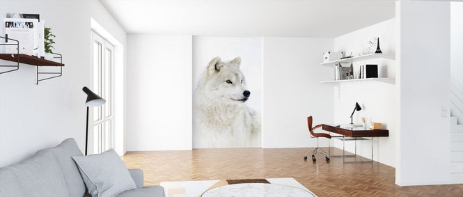 PHOTOWALL / Portrait of an Arctic Wolf (e324475)