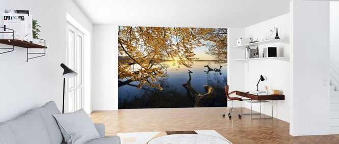PHOTOWALL / Autumn Morning (e324490)