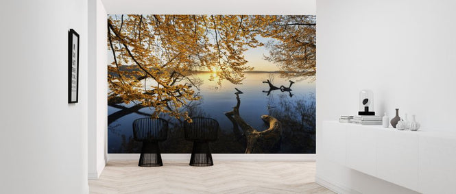 PHOTOWALL / Autumn Morning (e324490)