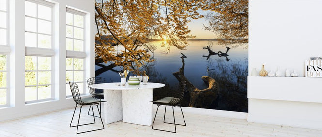 PHOTOWALL / Autumn Morning (e324490)