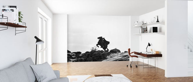 PHOTOWALL / Zorro (e326120)