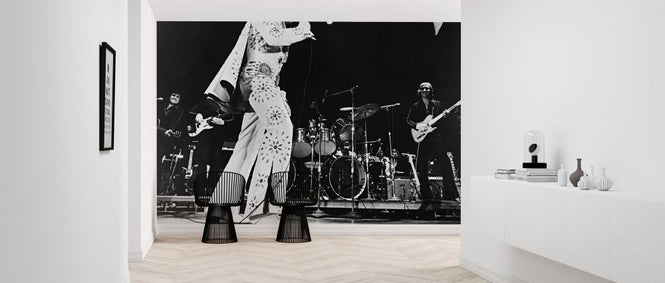 PHOTOWALL / Elvis On Tour (e326132)