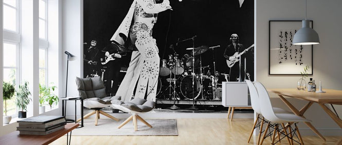 PHOTOWALL / Elvis On Tour (e326132)