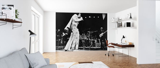 PHOTOWALL / Elvis On Tour (e326132)