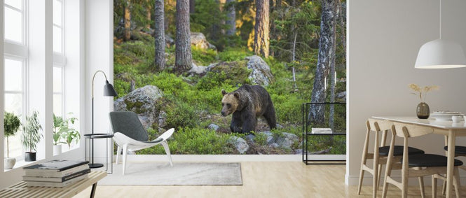 PHOTOWALL / Bear IIII (e324861)