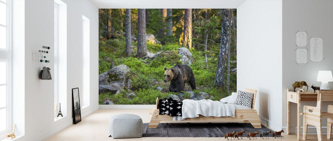 PHOTOWALL / Bear IIII (e324861)