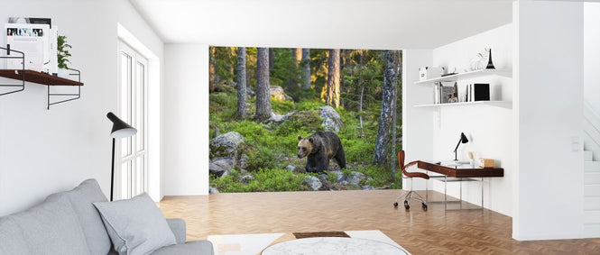 PHOTOWALL / Bear IIII (e324861)