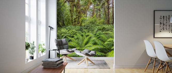PHOTOWALL / Western Sword Fern in Rainforest (e324560)