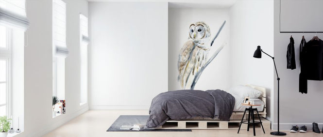 PHOTOWALL / Arctic Owl (e324621)