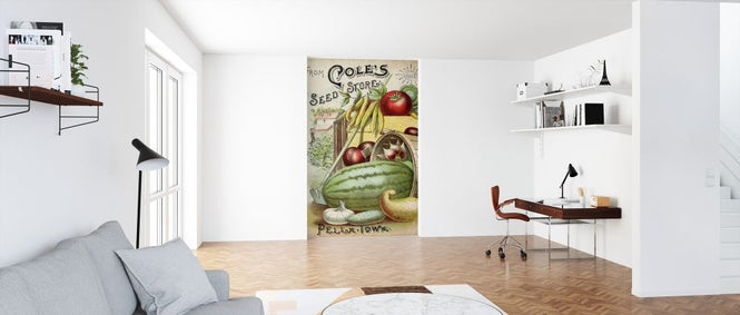PHOTOWALL / Antique Seed Packets IIII (e324738)