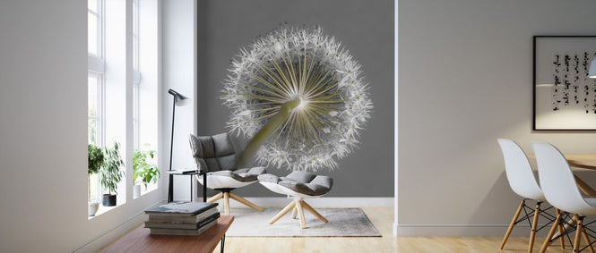 PHOTOWALL / Allium Flower (e326245)