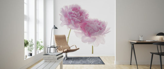 PHOTOWALL / Peonies (e326292)