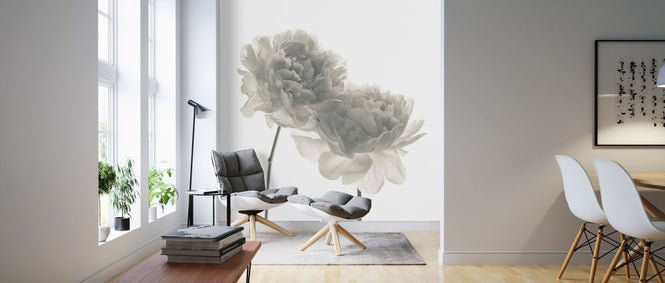 PHOTOWALL / Peonies (e326293)