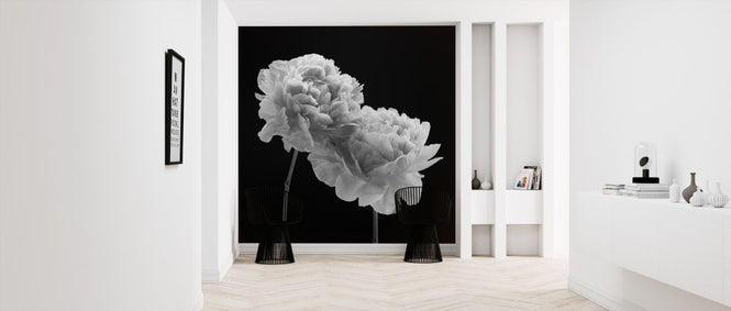 PHOTOWALL / Peonies (e326294)