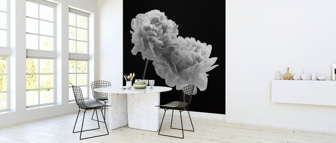 PHOTOWALL / Peonies (e326294)