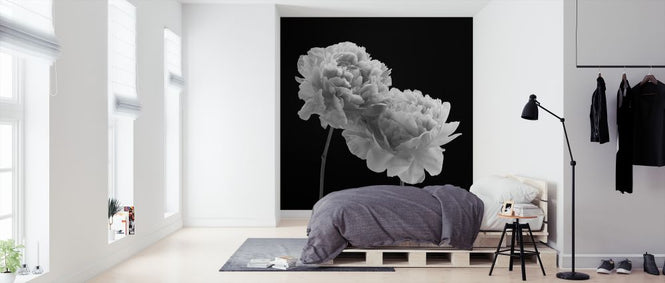 PHOTOWALL / Peonies (e326294)