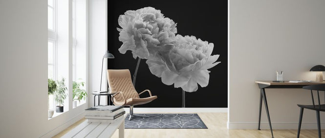 PHOTOWALL / Peonies (e326294)