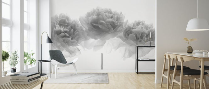 PHOTOWALL / Peonies (e326295)