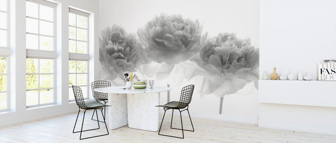 PHOTOWALL / Peonies (e326295)