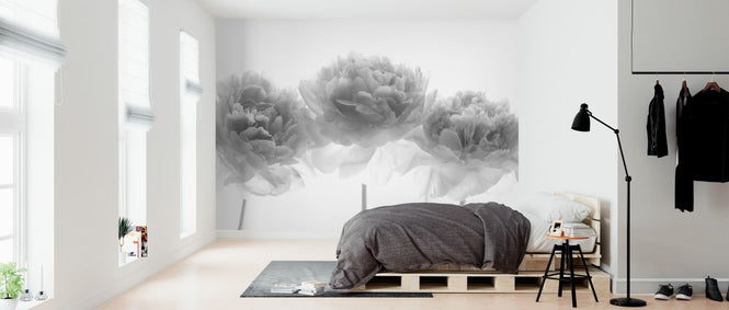 PHOTOWALL / Peonies (e326295)