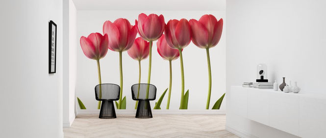 PHOTOWALL / Tulips (e326315)