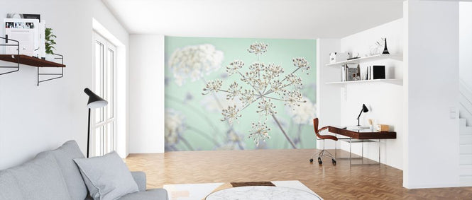PHOTOWALL / Cow Parsley (e326333)
