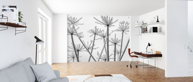 PHOTOWALL / Frost (e326367)