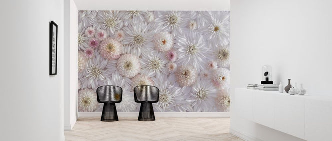 PHOTOWALL / Dahlias (e326377)