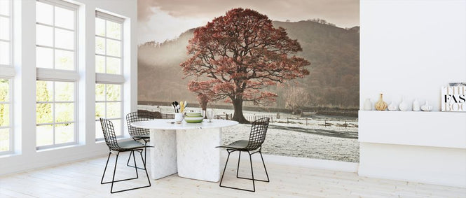 PHOTOWALL / Lake District (e326427)