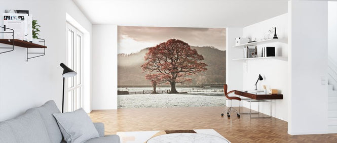 PHOTOWALL / Lake District (e326427)