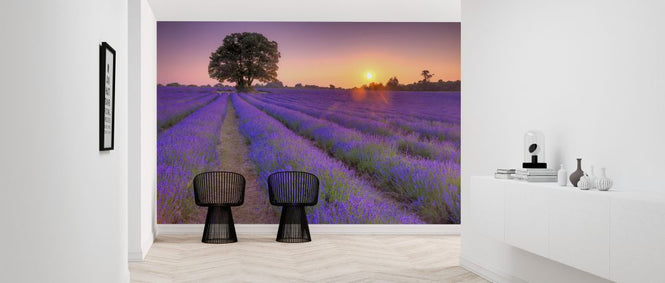 PHOTOWALL / Lavender (e326434)