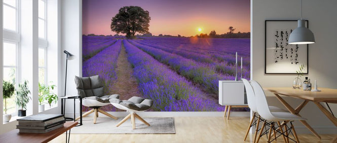 PHOTOWALL / Lavender (e326434)