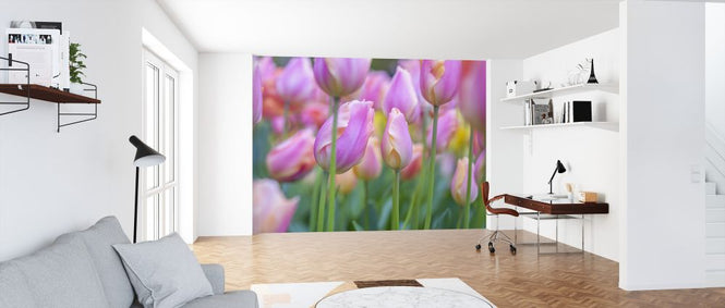 PHOTOWALL / Kuekenhof (e326451)