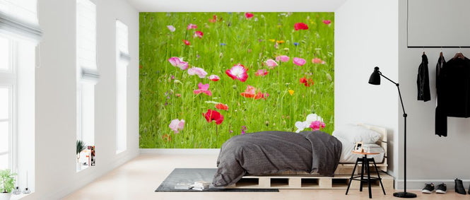PHOTOWALL / Meadow (e326457)