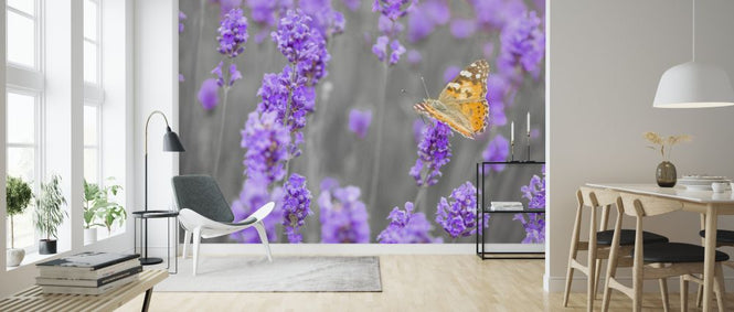 PHOTOWALL / Lavender (e326456)