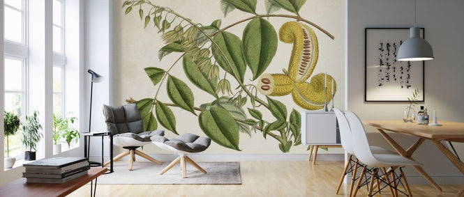 PHOTOWALL / Tropical Foliage Fruit (e324761)