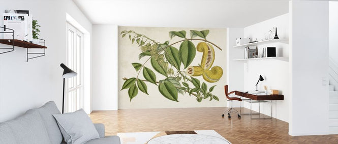 PHOTOWALL / Tropical Foliage Fruit (e324761)