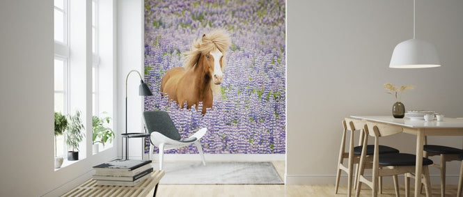 PHOTOWALL / Horse in Lupin Field (e324961)
