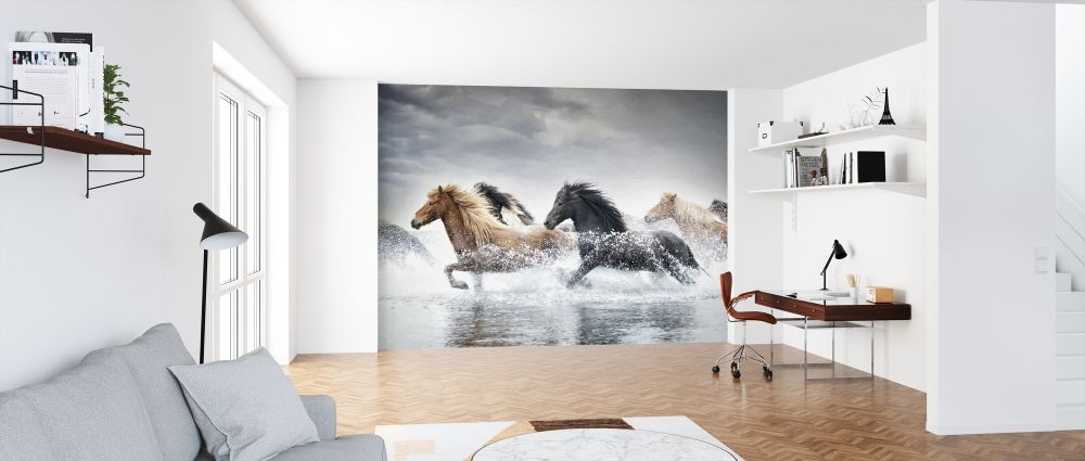 Zoom