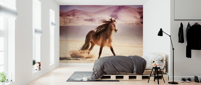 PHOTOWALL / Running in the Sand (e324964)