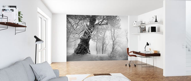 PHOTOWALL / Winters Way II (e327795)