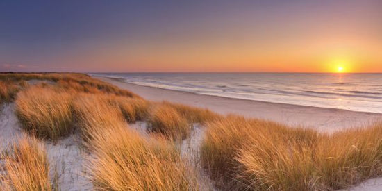 PHOTOWALL / Dunes and Beach (e327803)