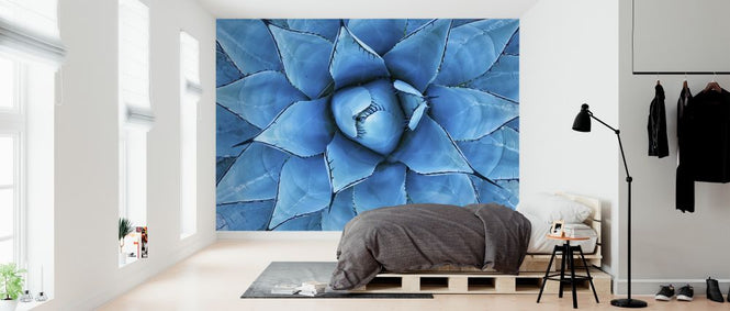 PHOTOWALL / Blue Agave Plant (e327831)