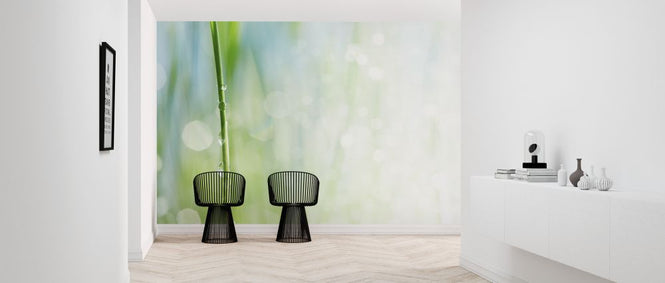 PHOTOWALL / Waterdrop on a Stalk (e327837)